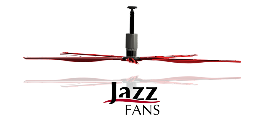 Jazz Fan